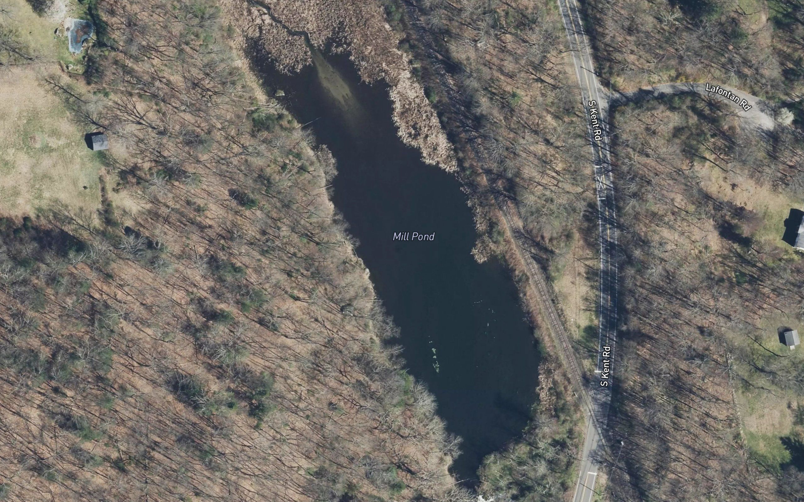 Mill Pond