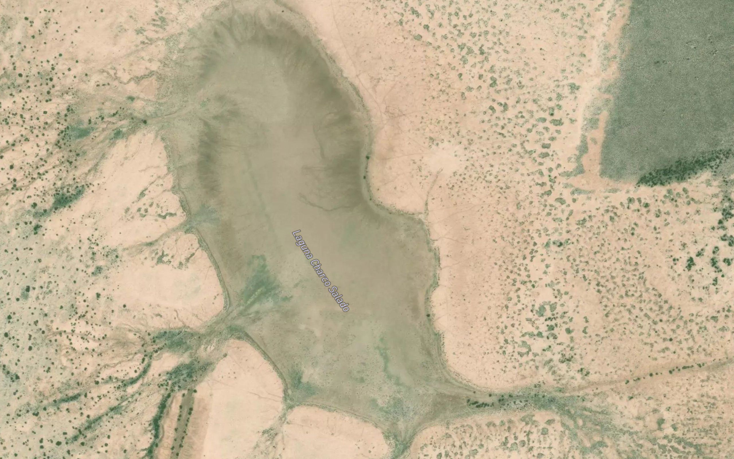 Laguna Charco Salado