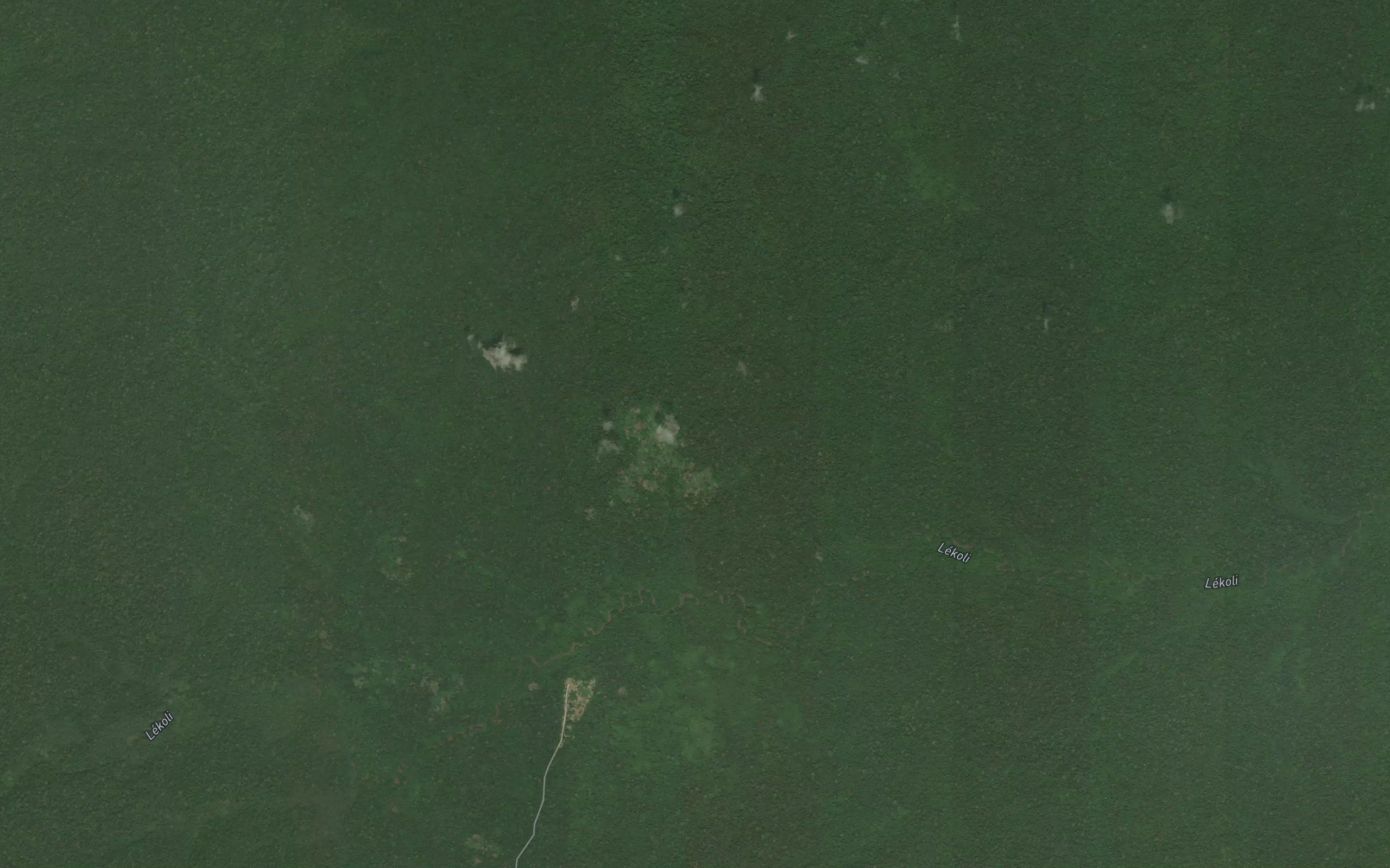Korangoye