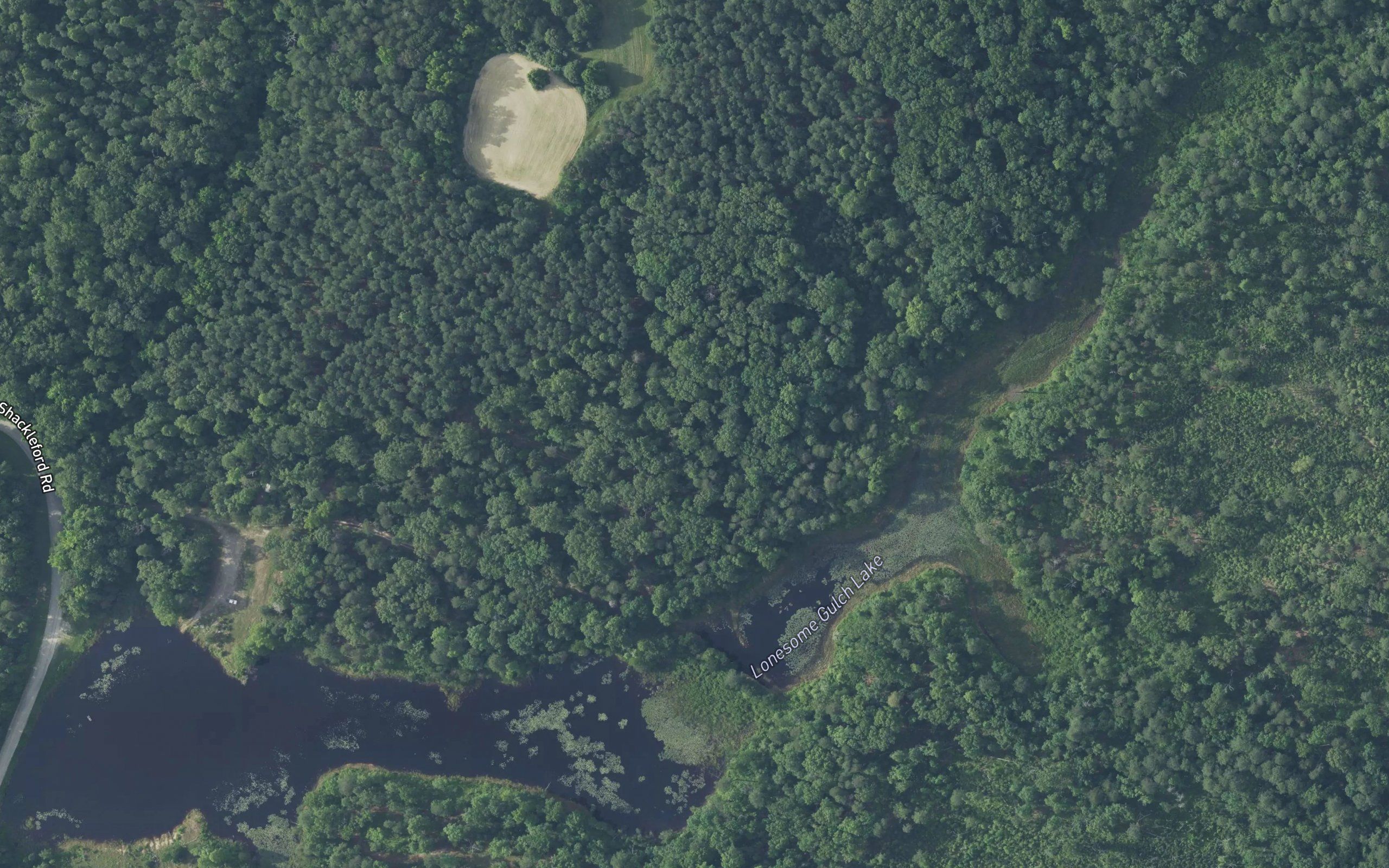 Lonesome Gulch Pond
