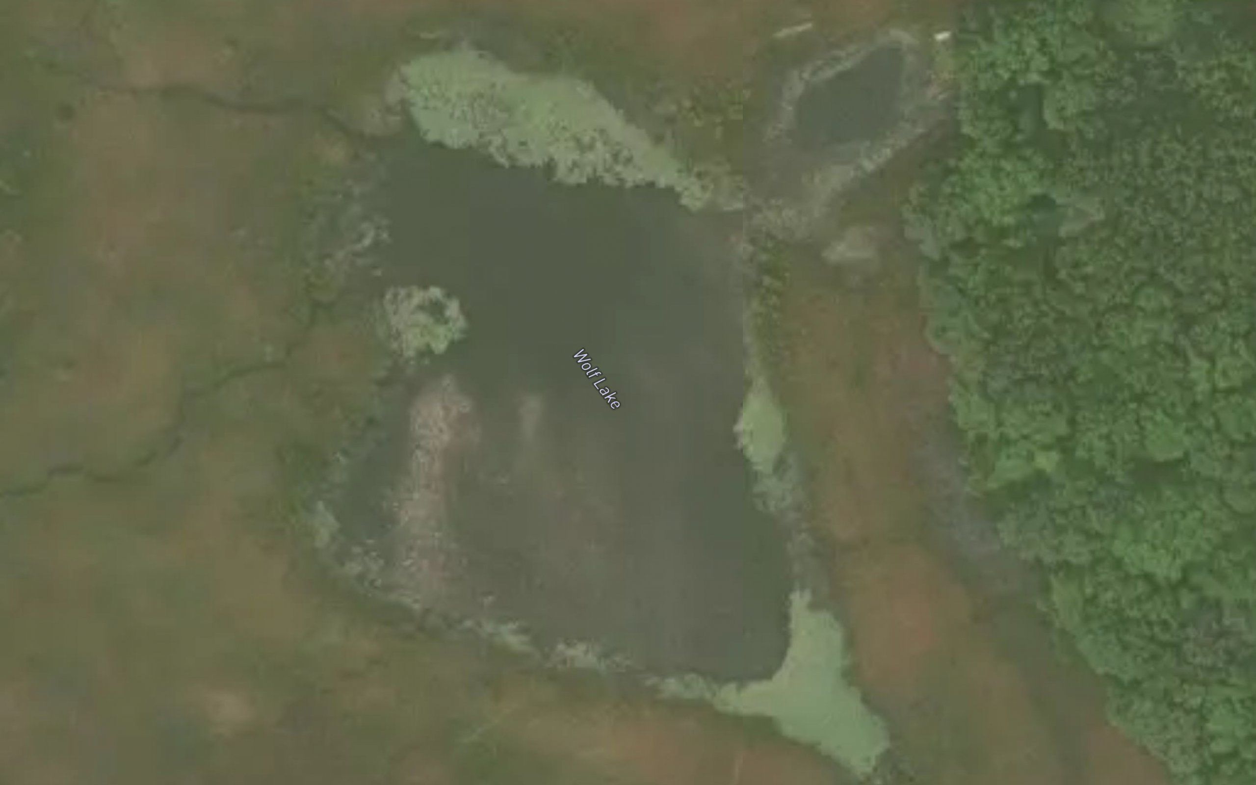 Wolf Lake