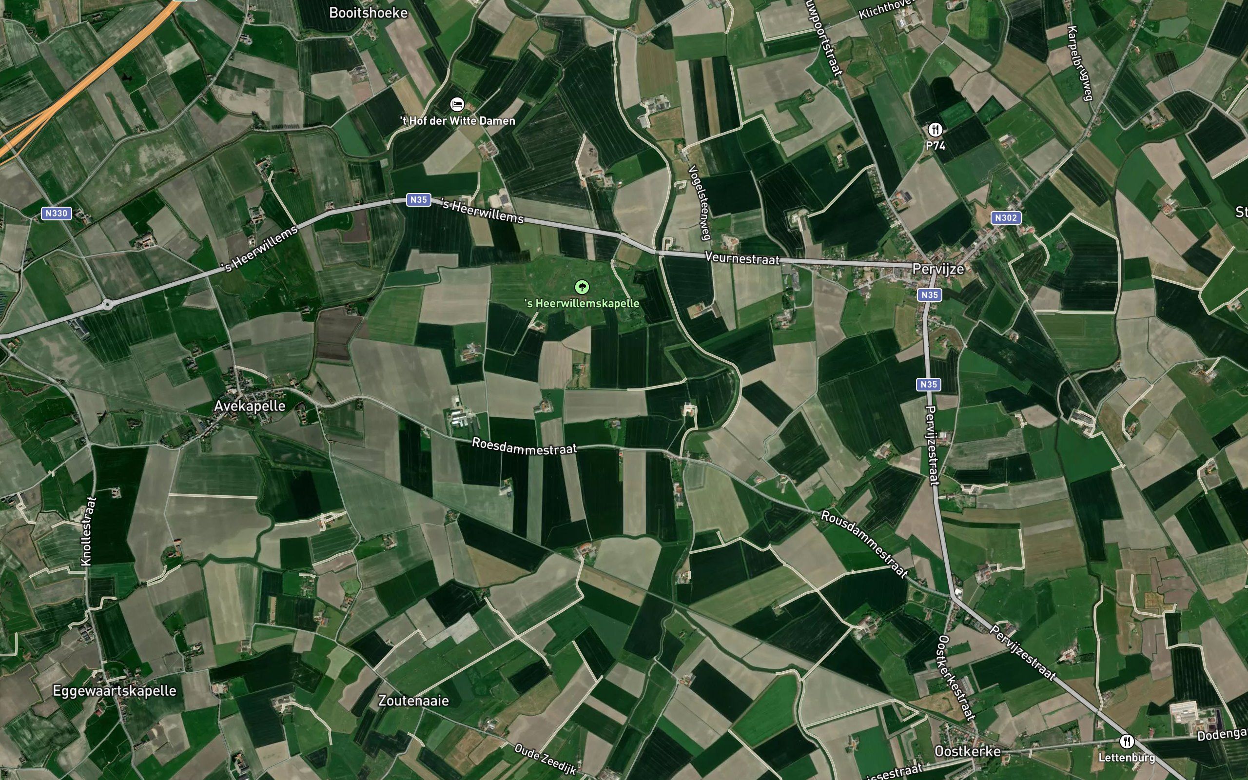Reigers Vliet