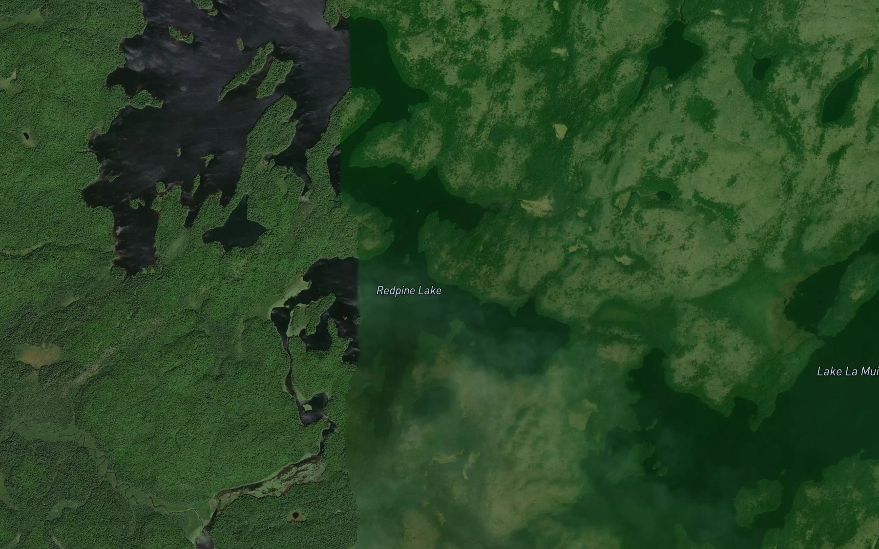 Satellite map of the Spiza Creek