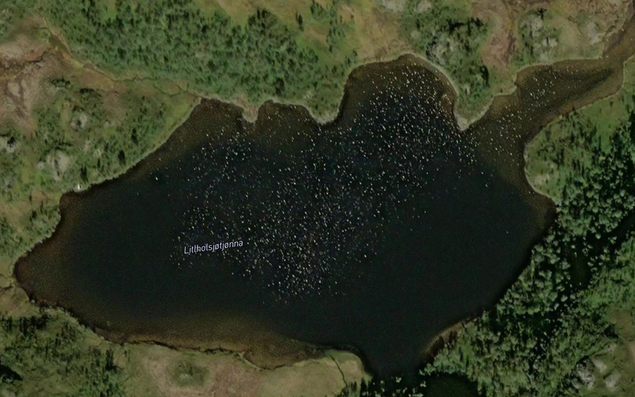 Litlholsjotjorna