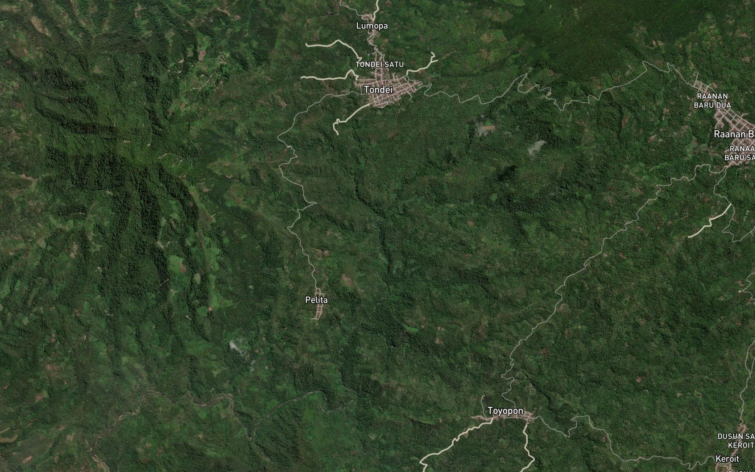 Royongan Luagon