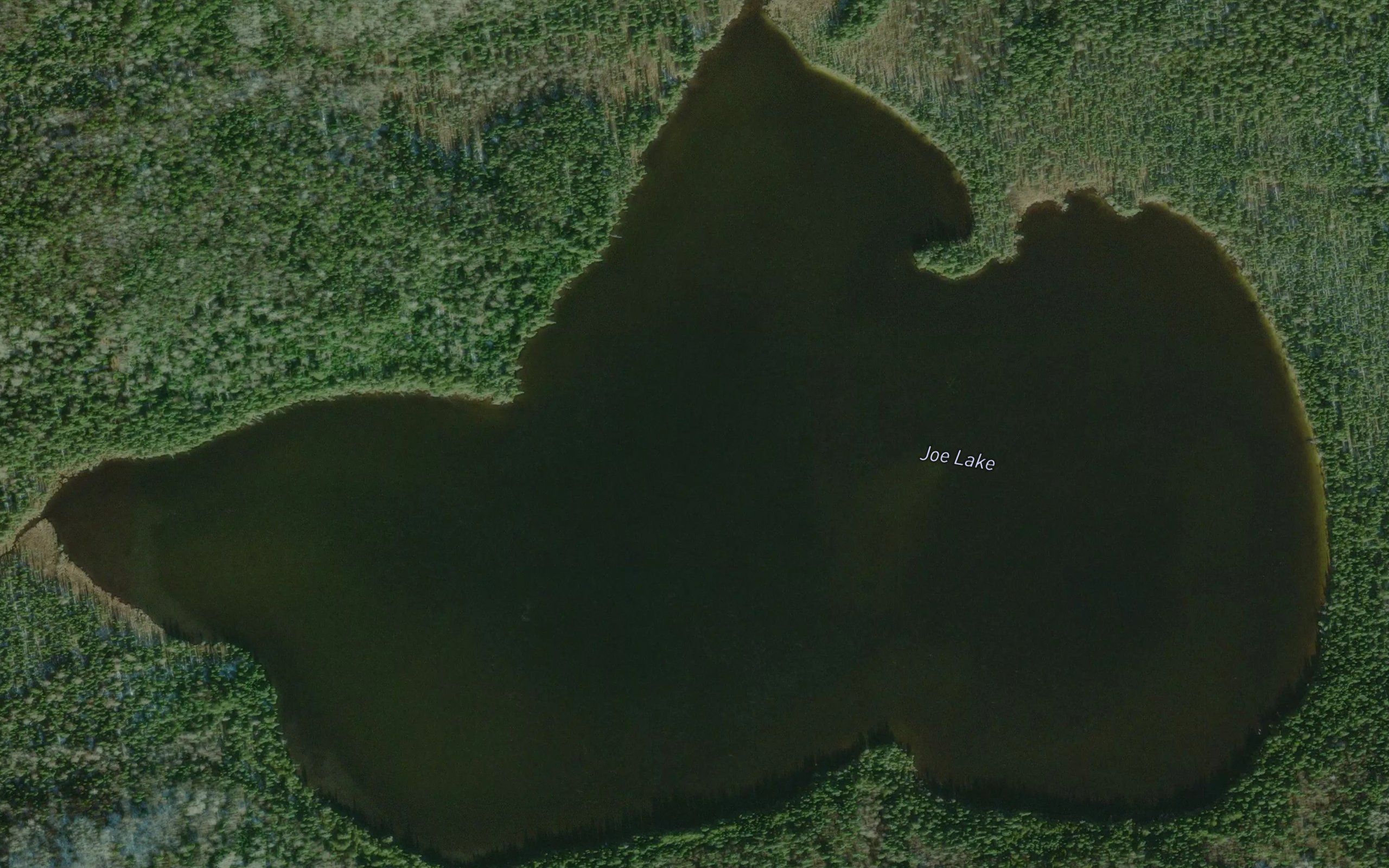 Joe Lake