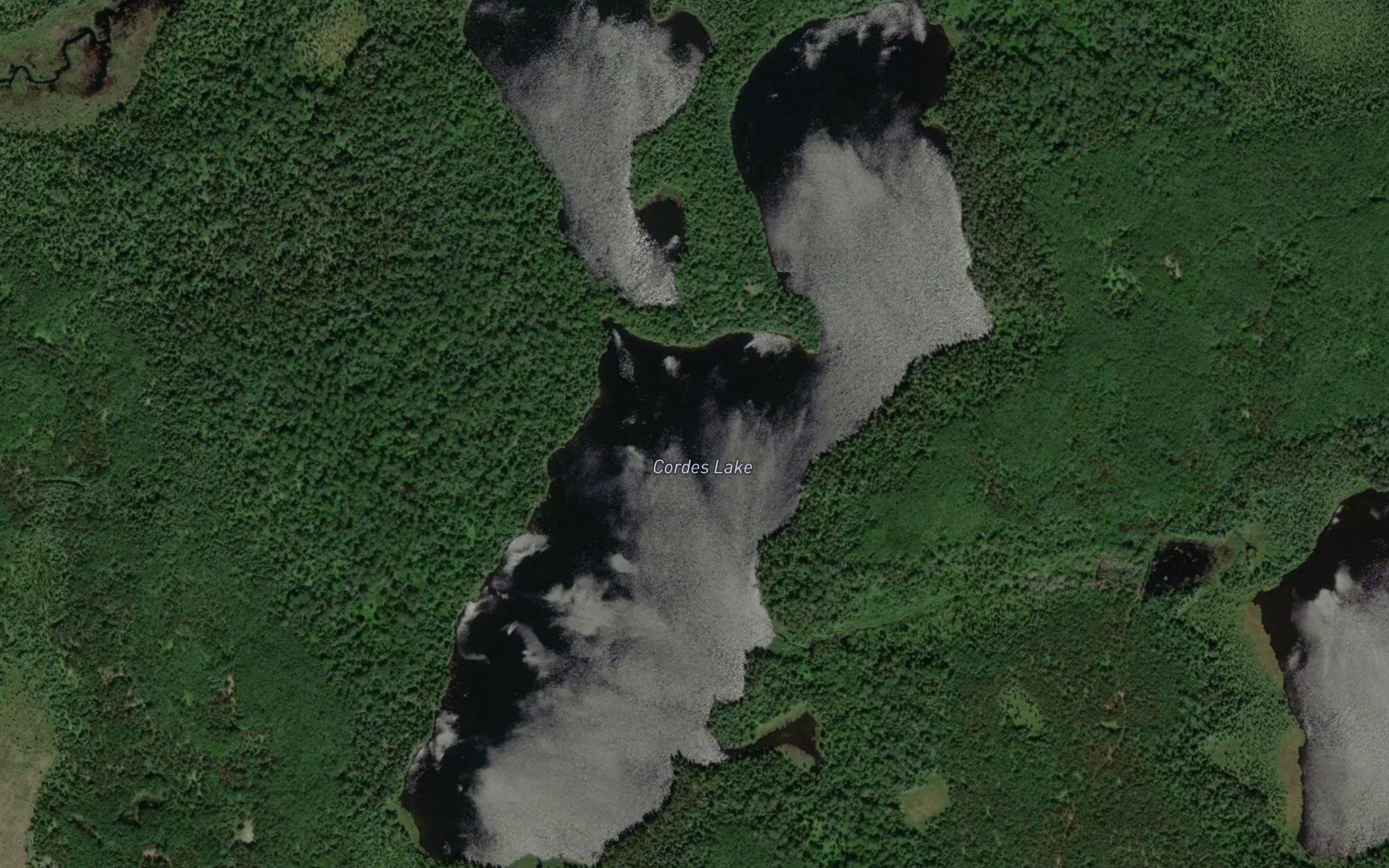 Cordes Lake