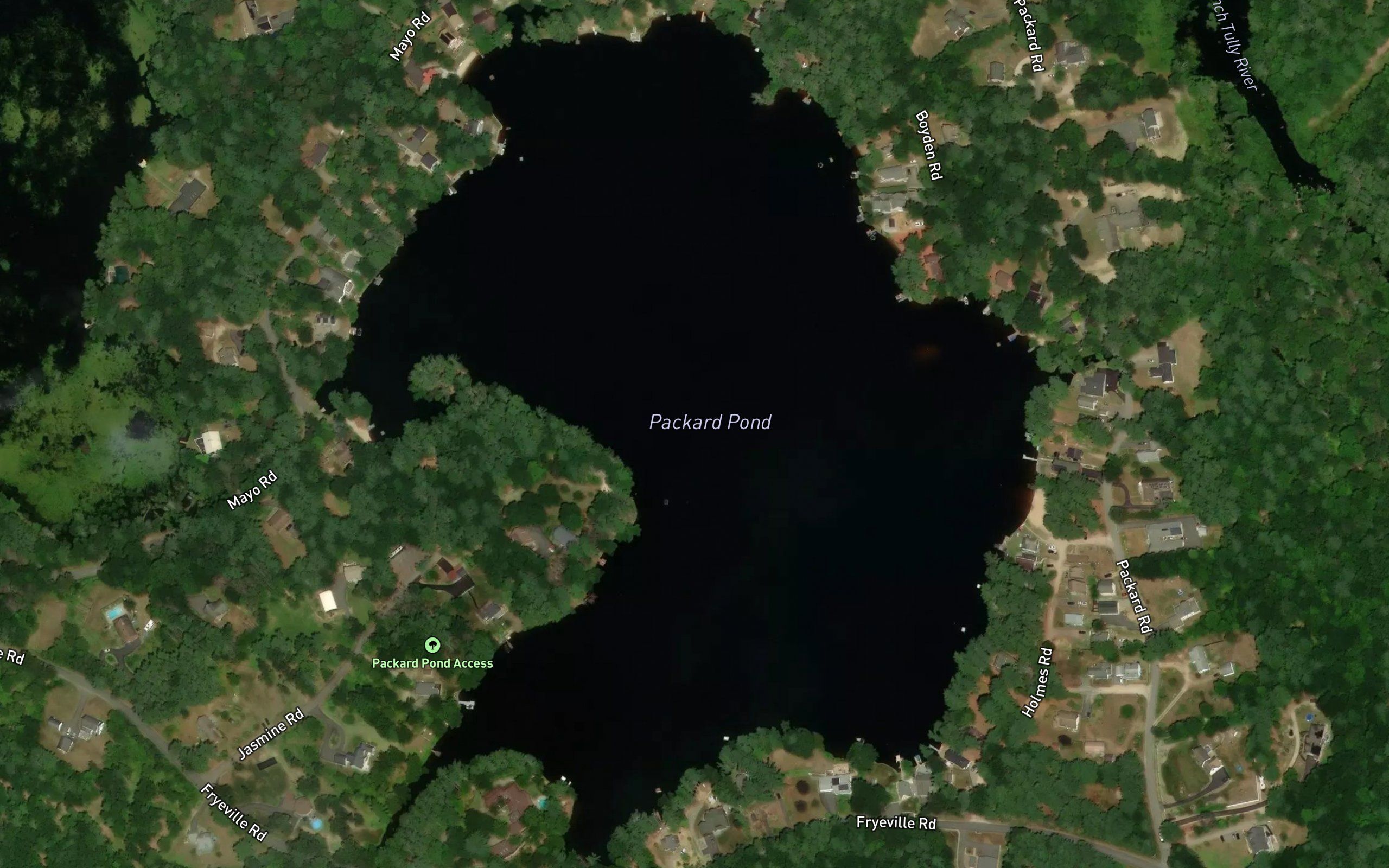 Packard Pond