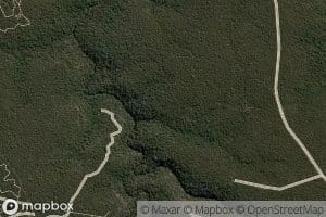 Four Mile Creek