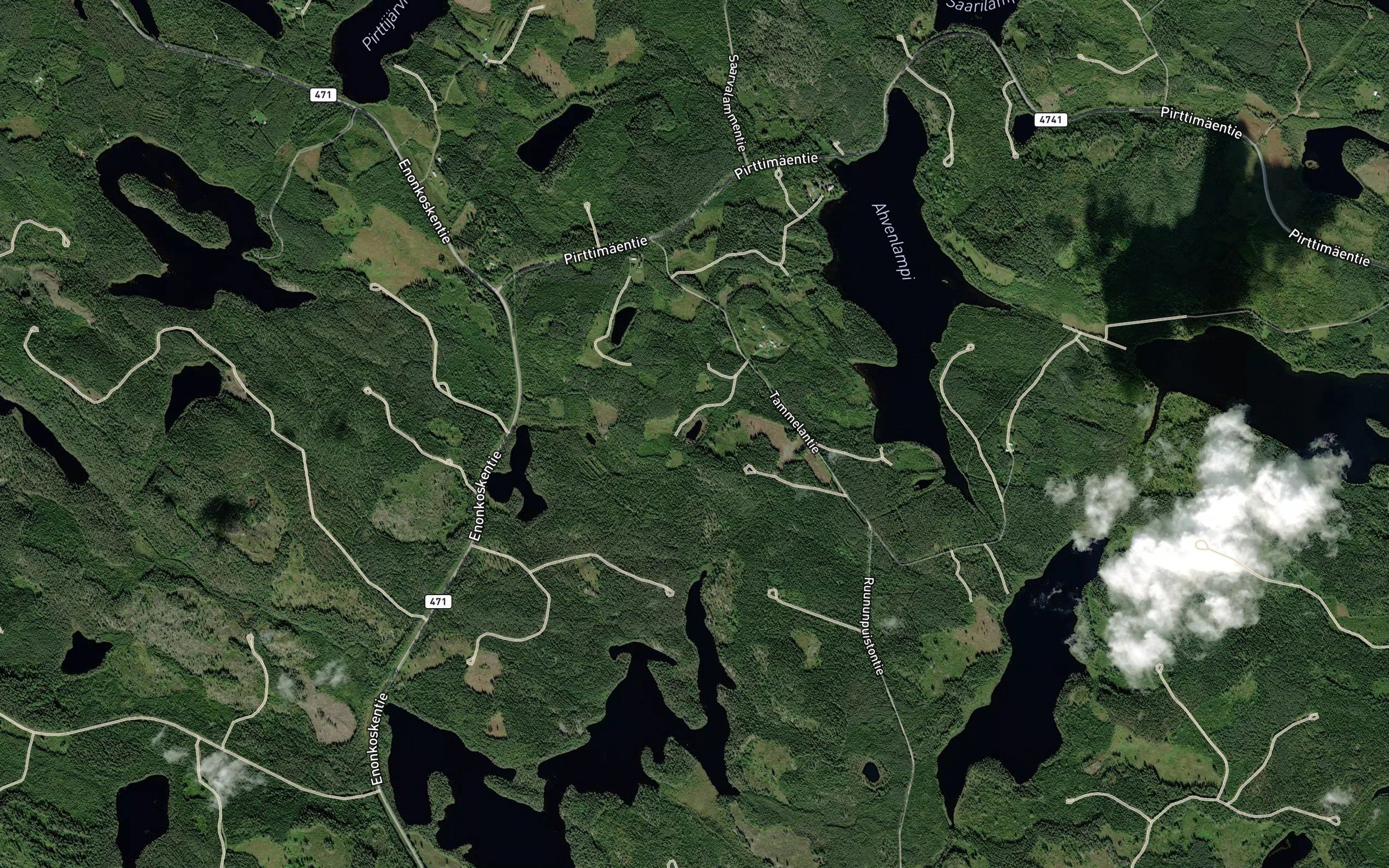 Tammalampi