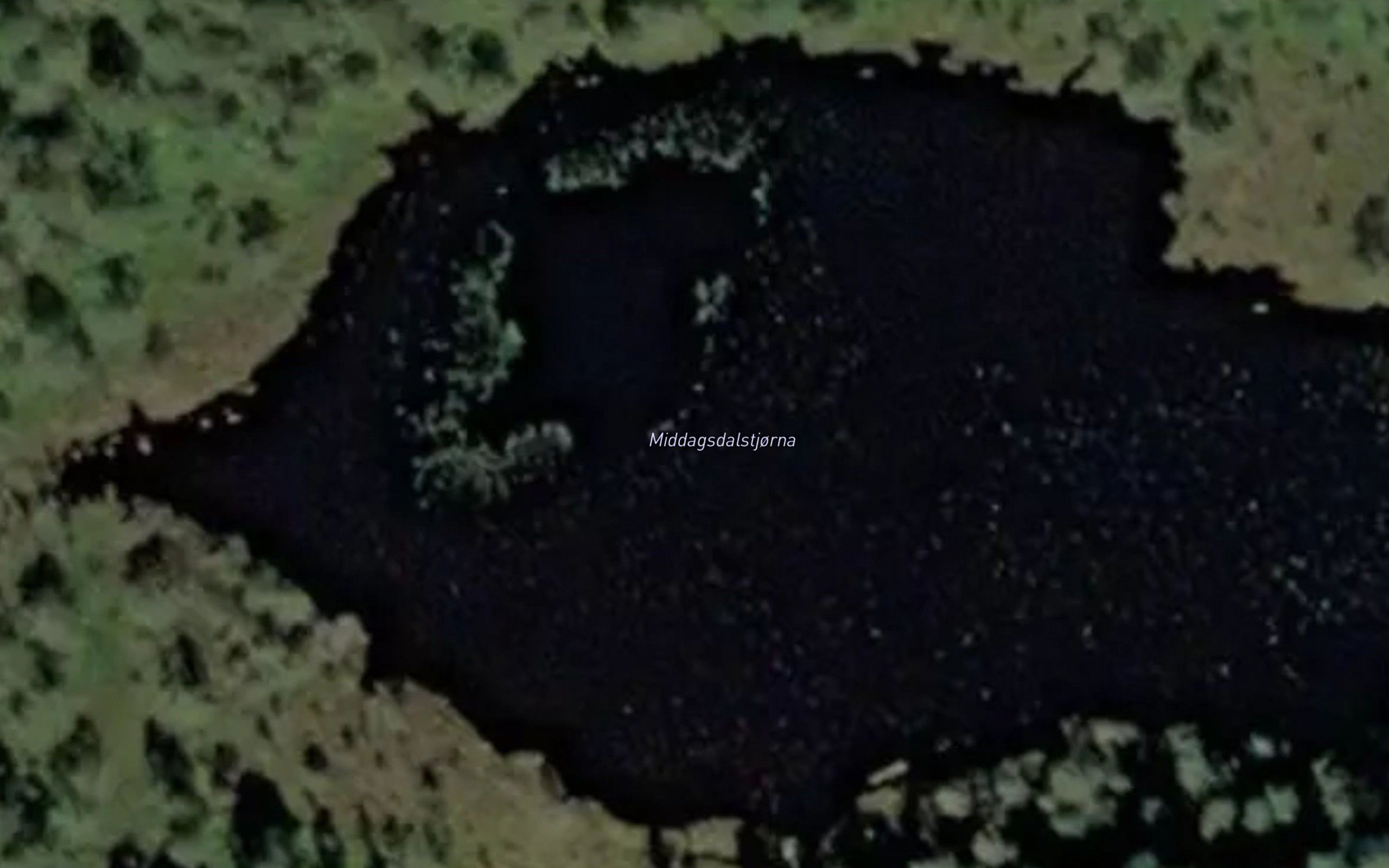 Middagsdalstjorna