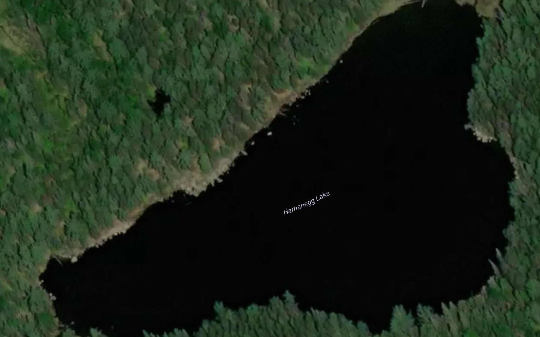 Satellite map of the Hamanegg Lake