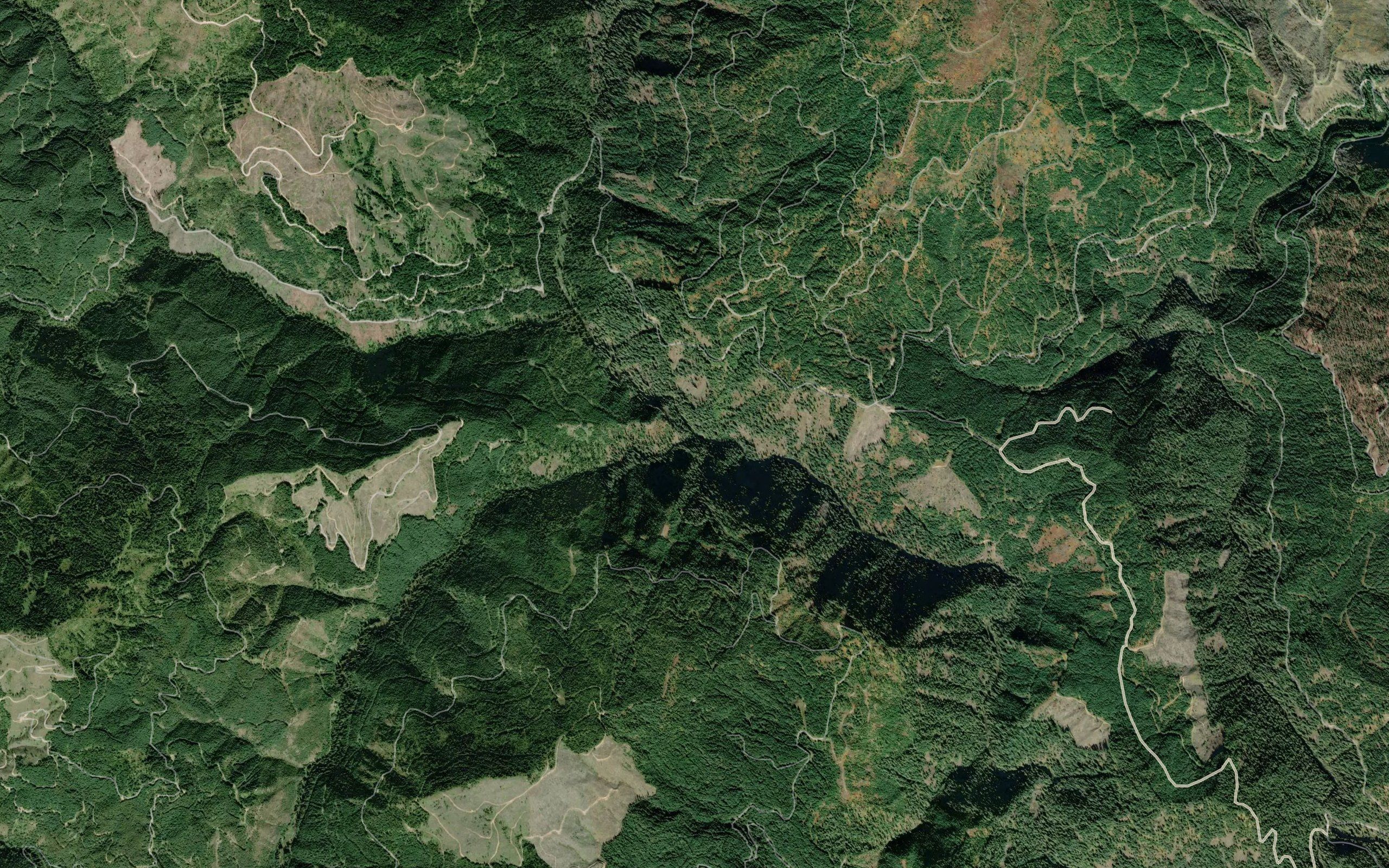 Isabella Creek