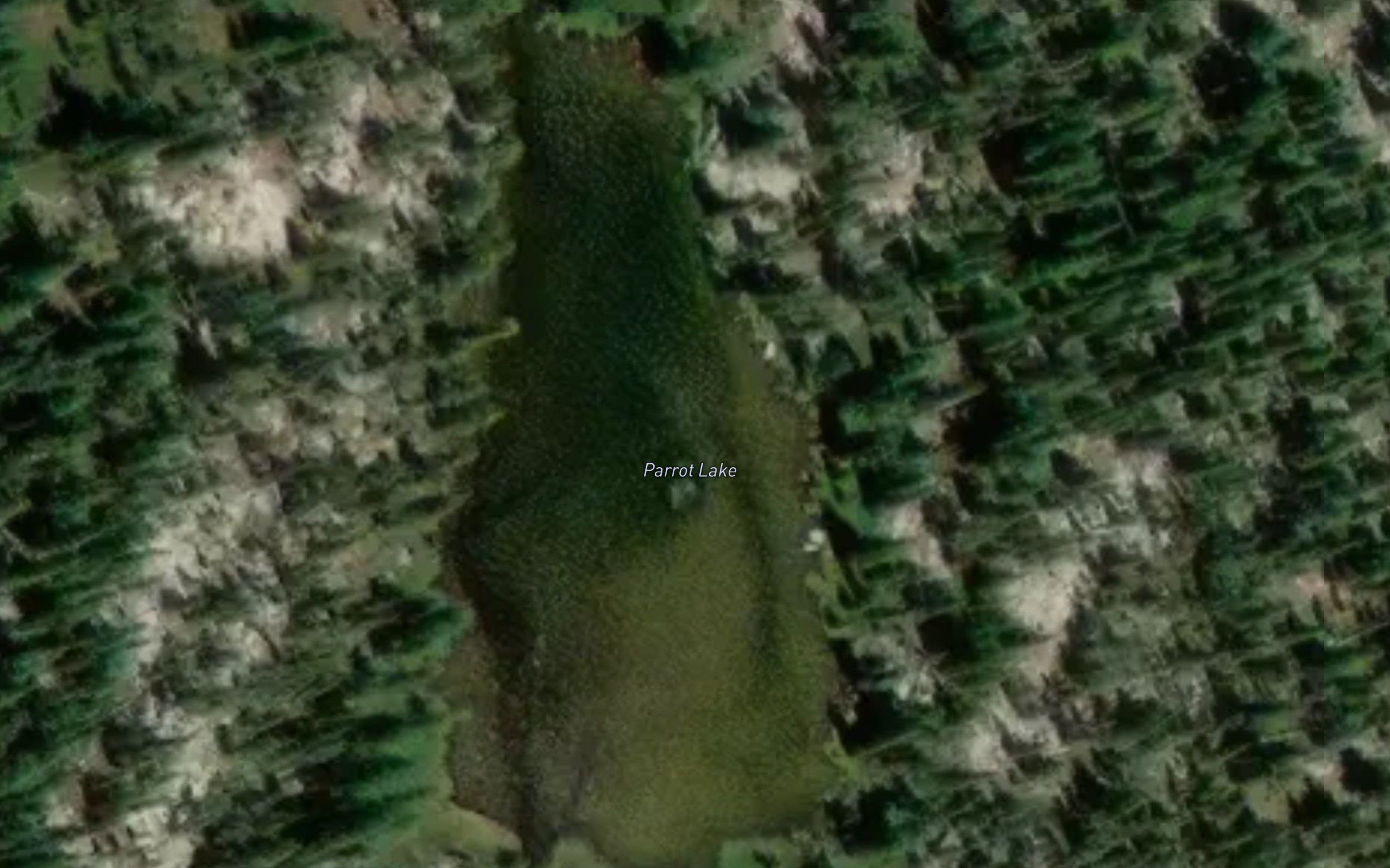 Parrott Lake