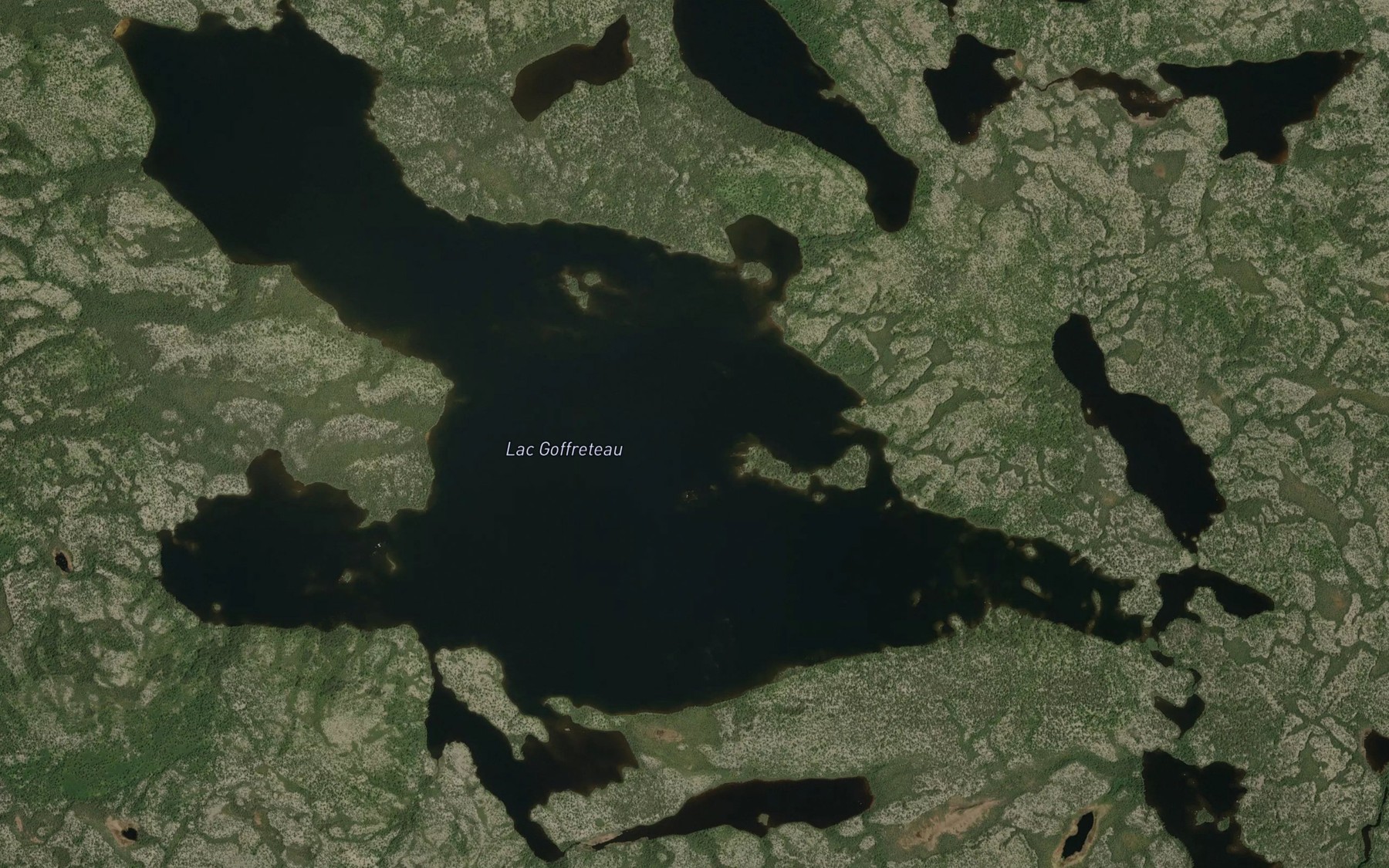 Satellite map of the Lac Goffreteau