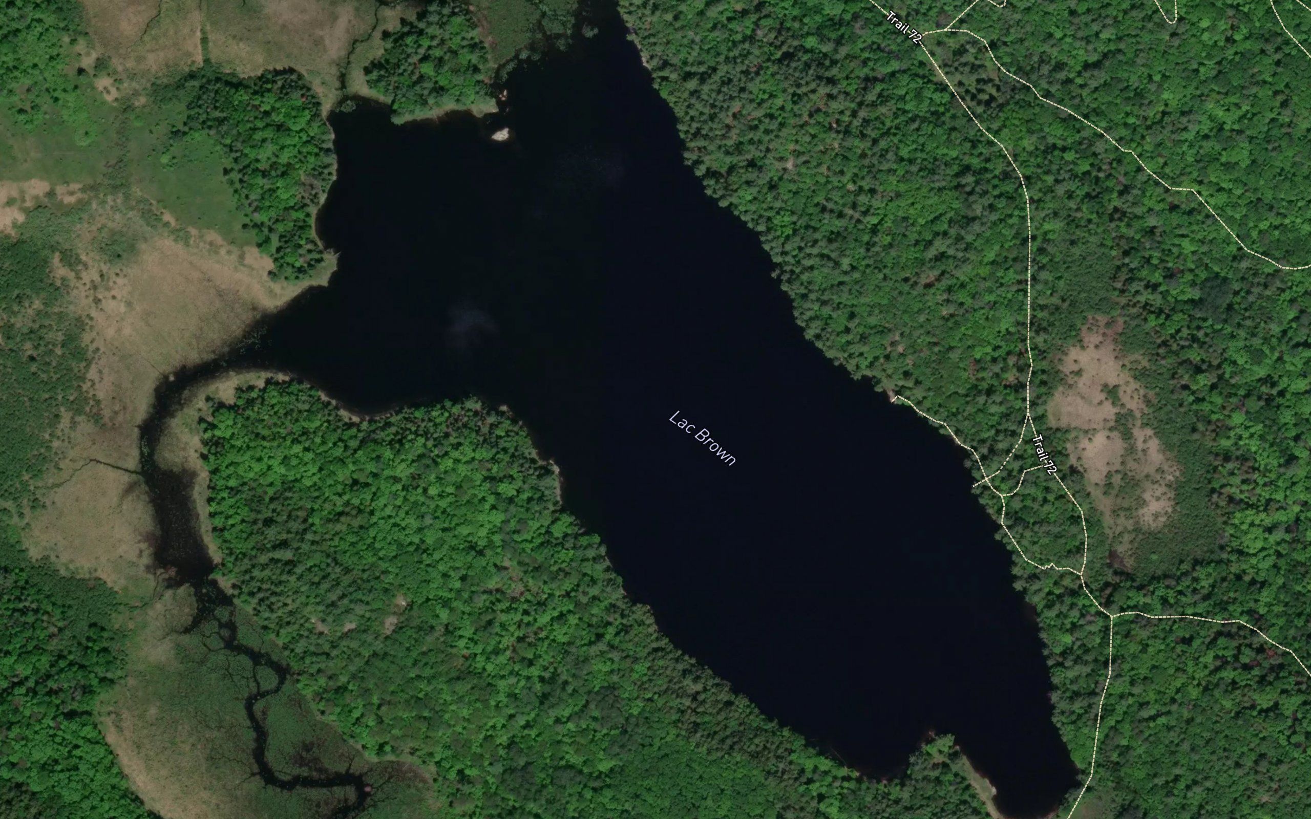 Lac Brown