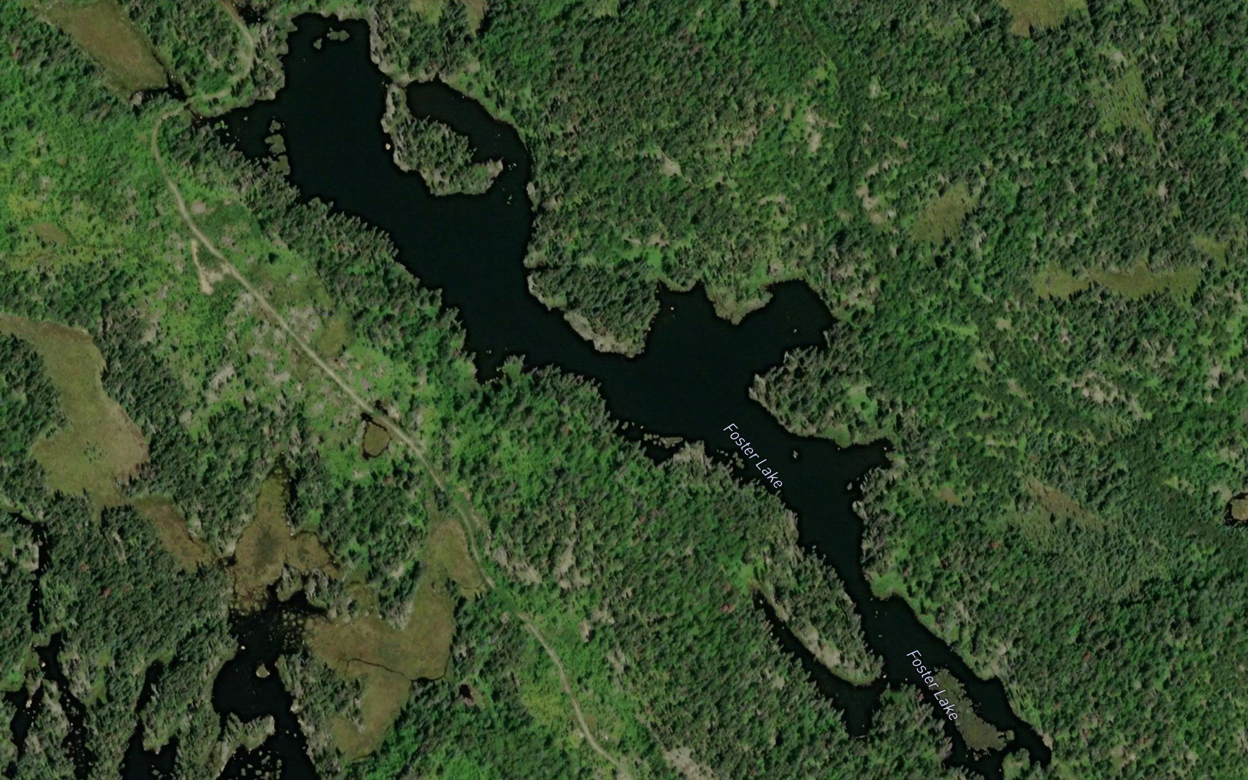 Foster Lake