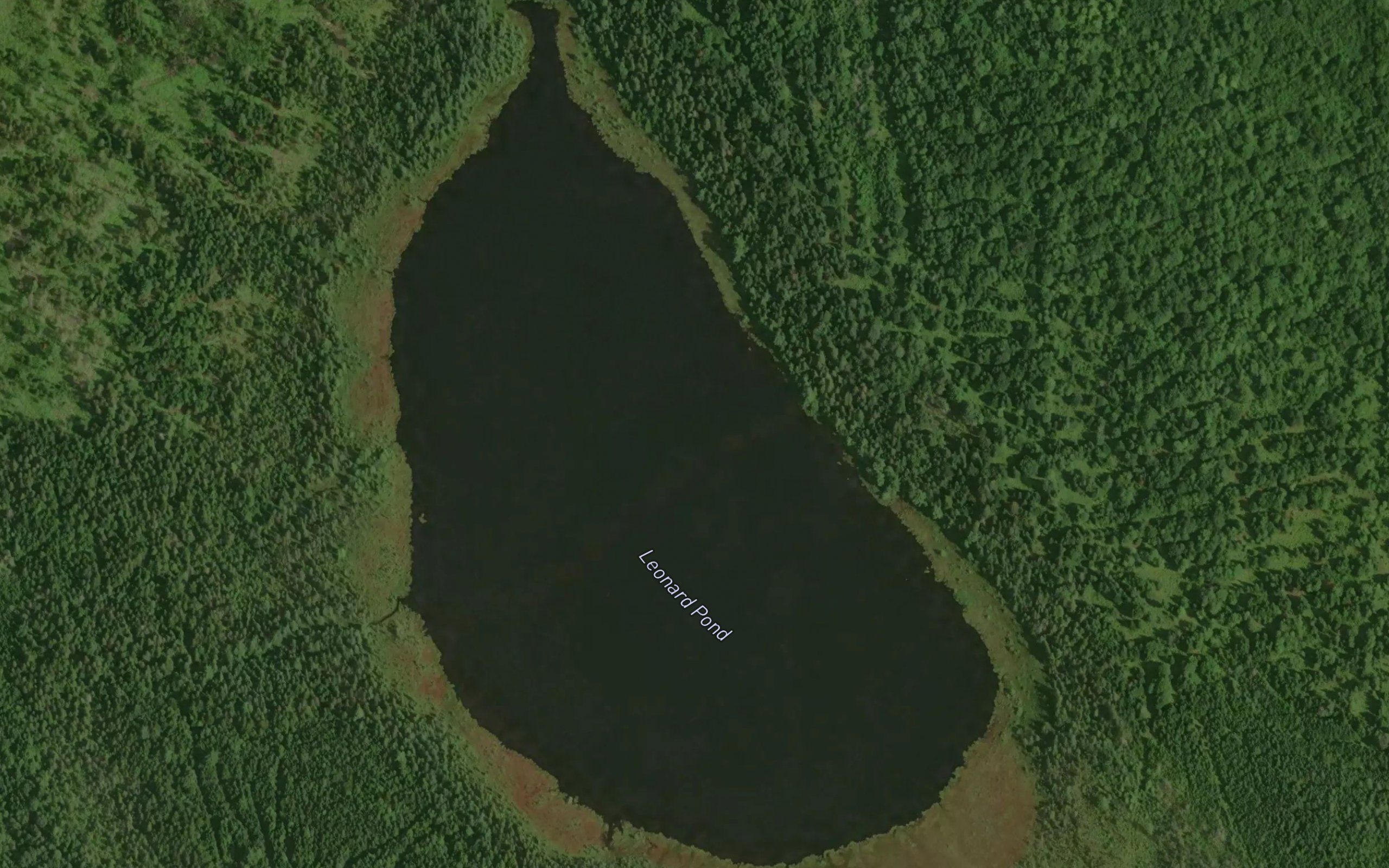 Leonard Pond