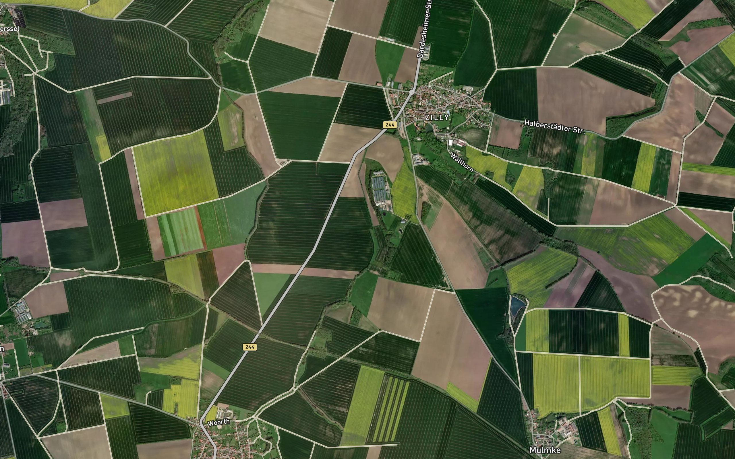 Muckenbach