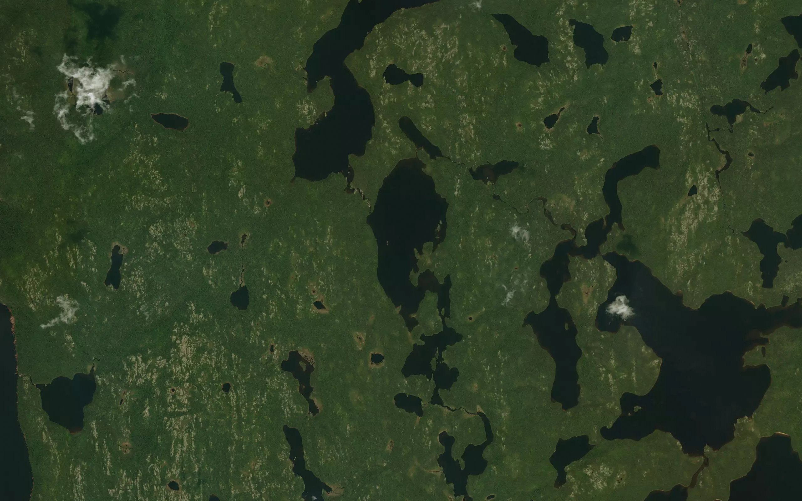 Lac Titi