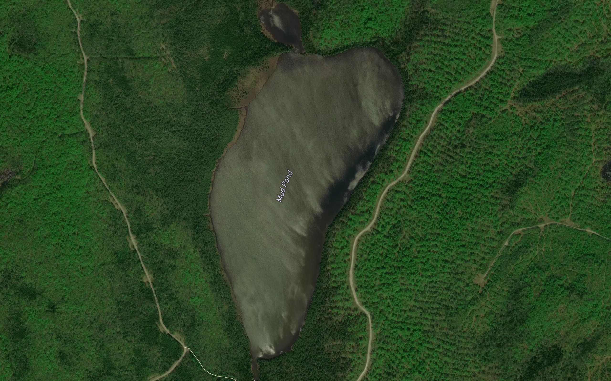 Mud Pond
