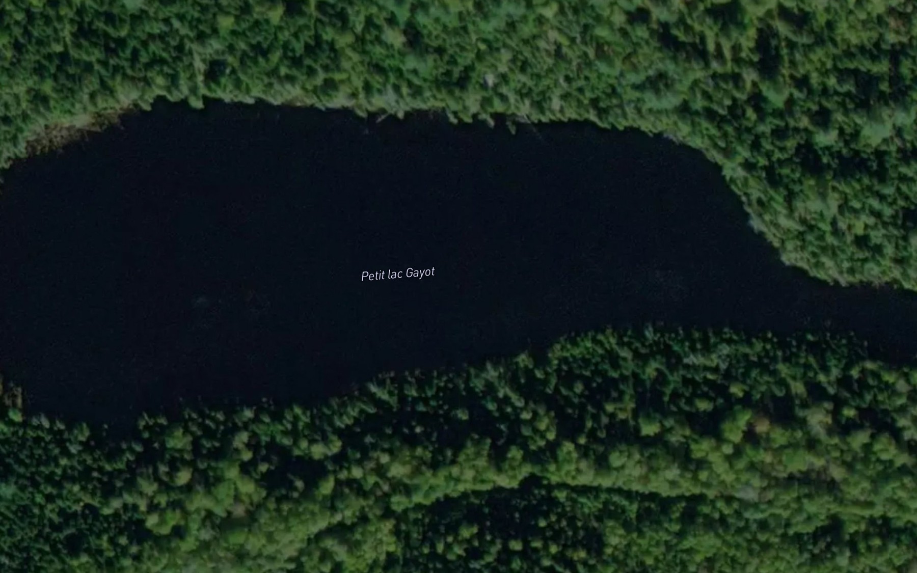 Satellite map of the Petit lac Gayot