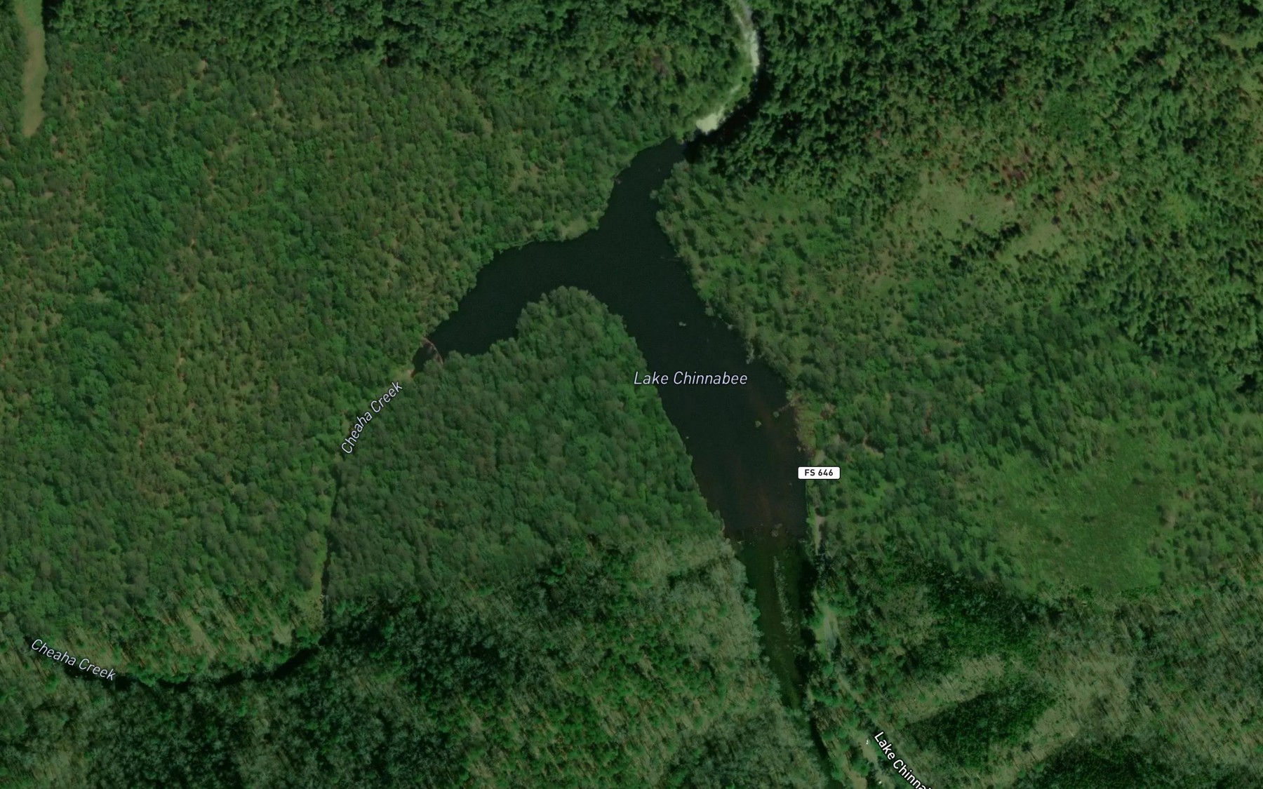 Satellite map of the Lake Chinnabee
