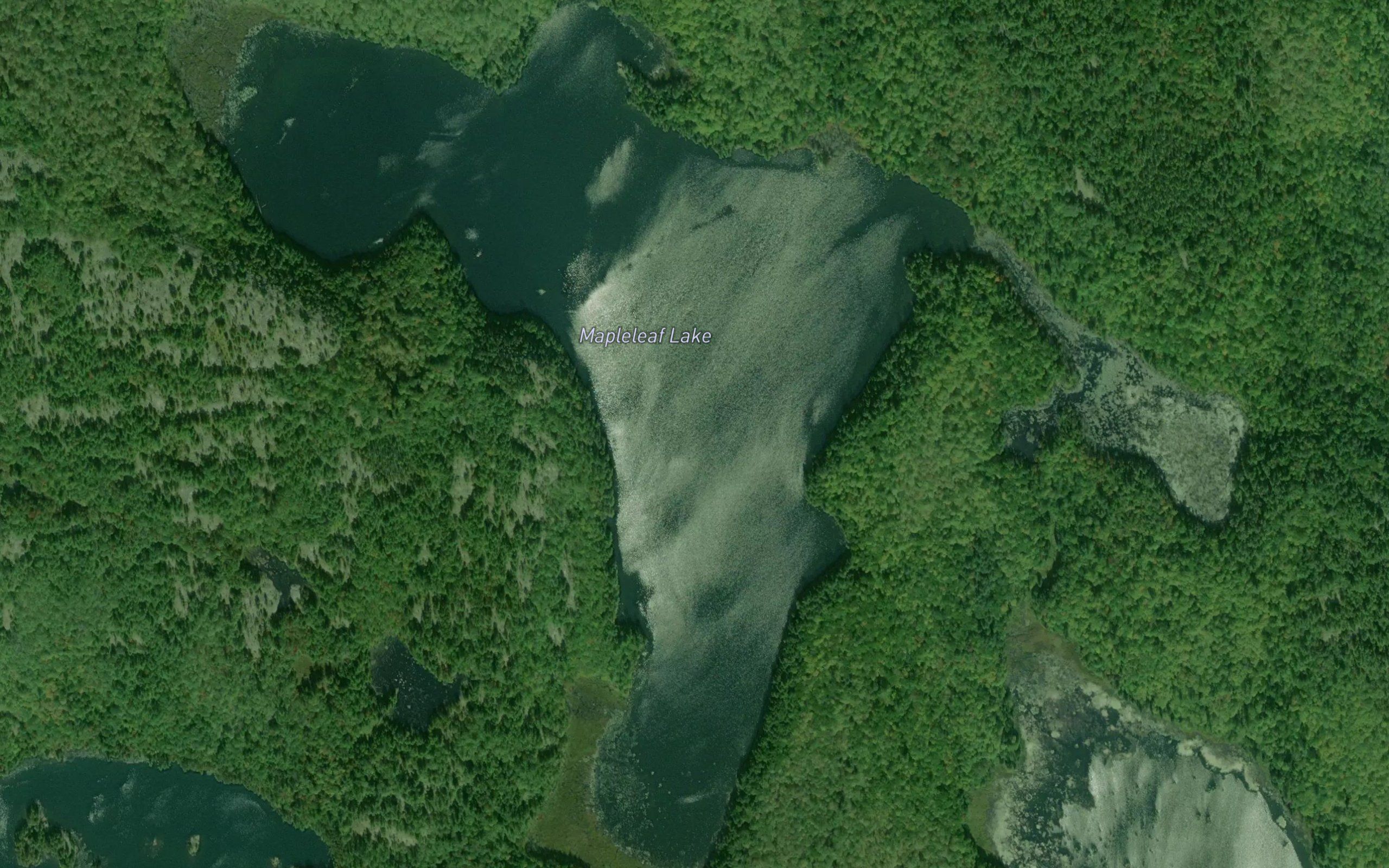 Mapleleaf Lake