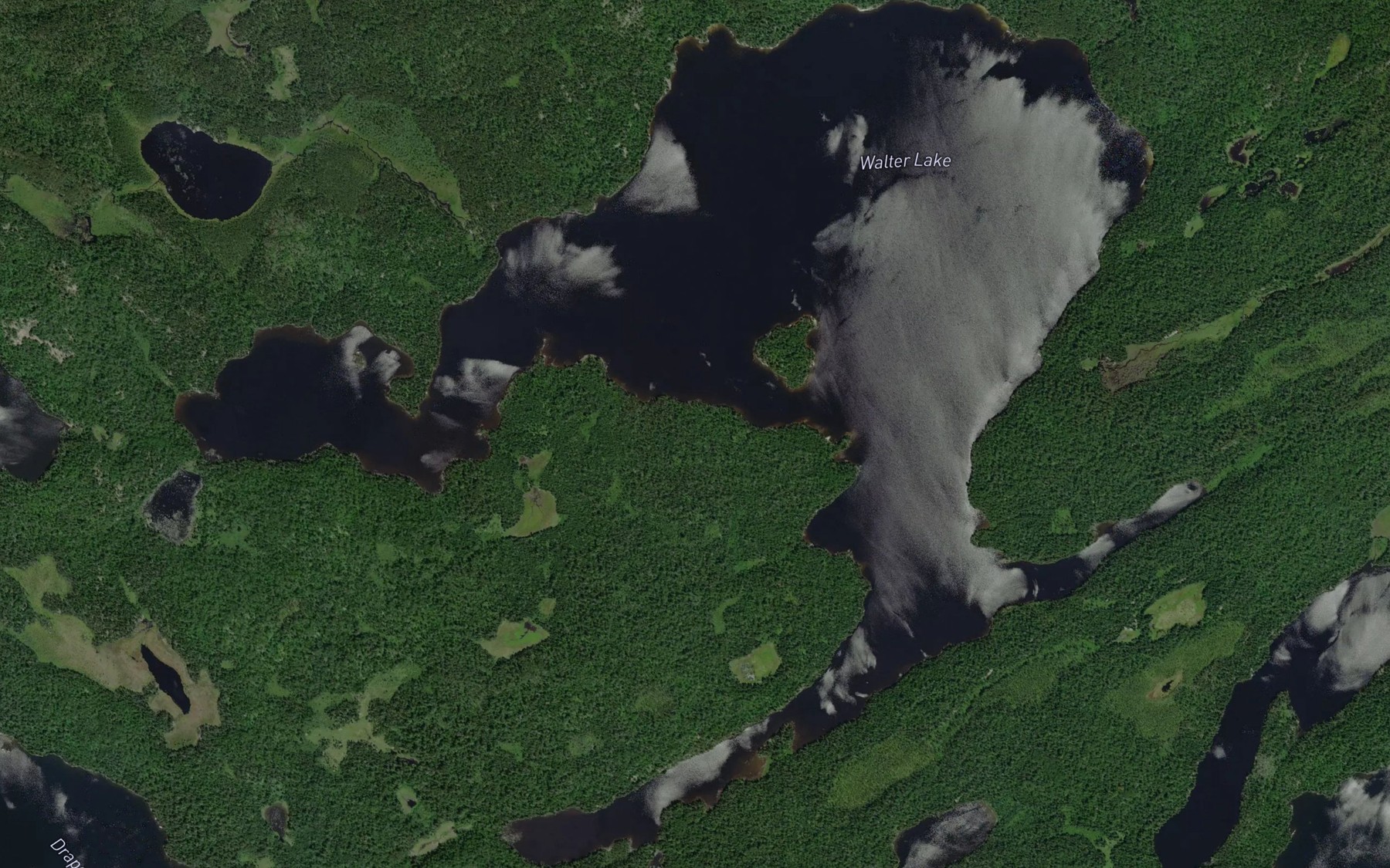 Satellite map of the Walter Lake