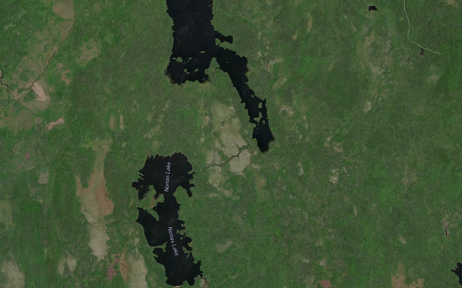 Satellite map of the Nonias Lake Brook