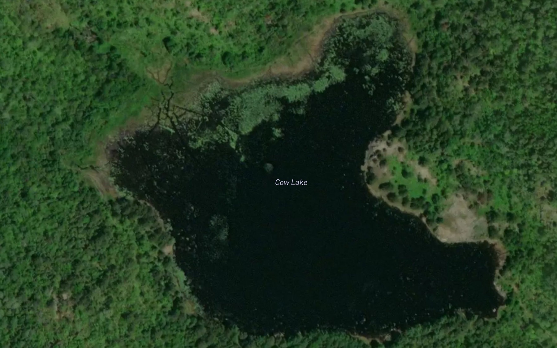 Satellite map of the Cow Lake