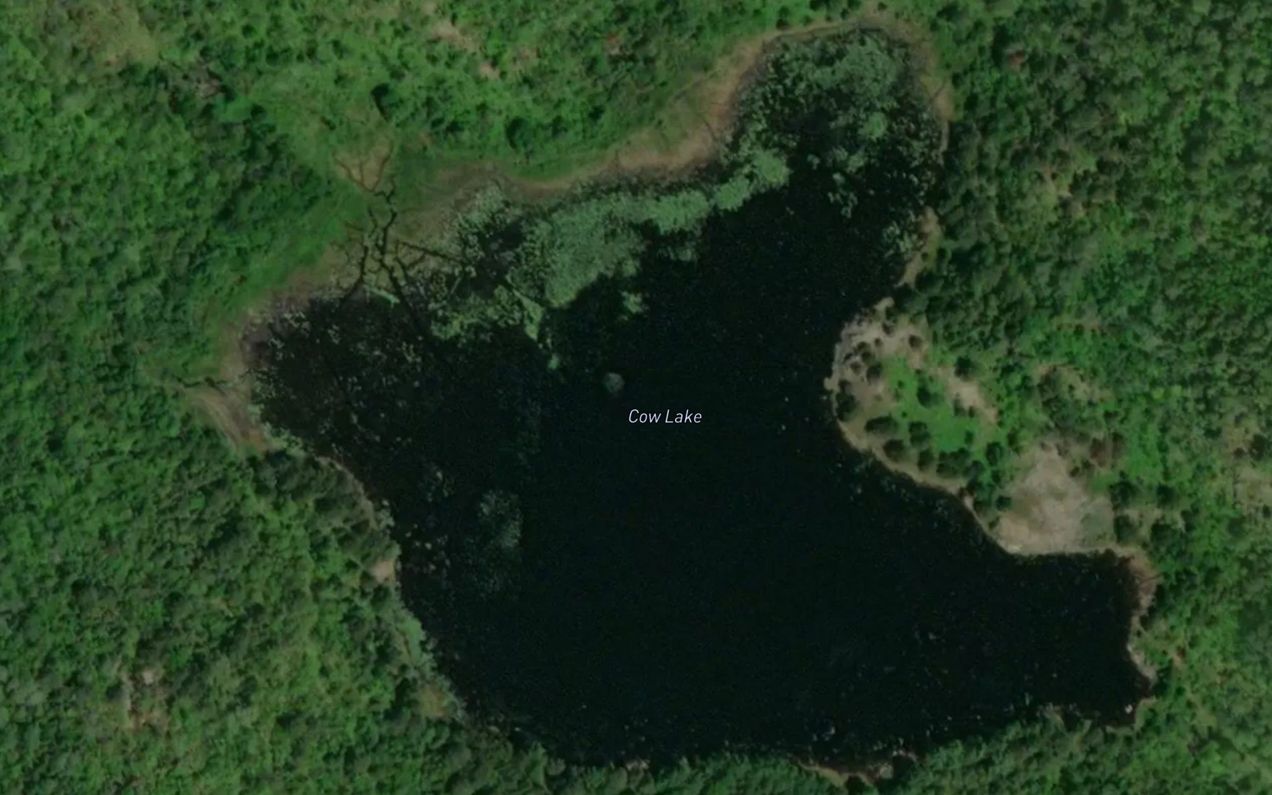 Cow Lake