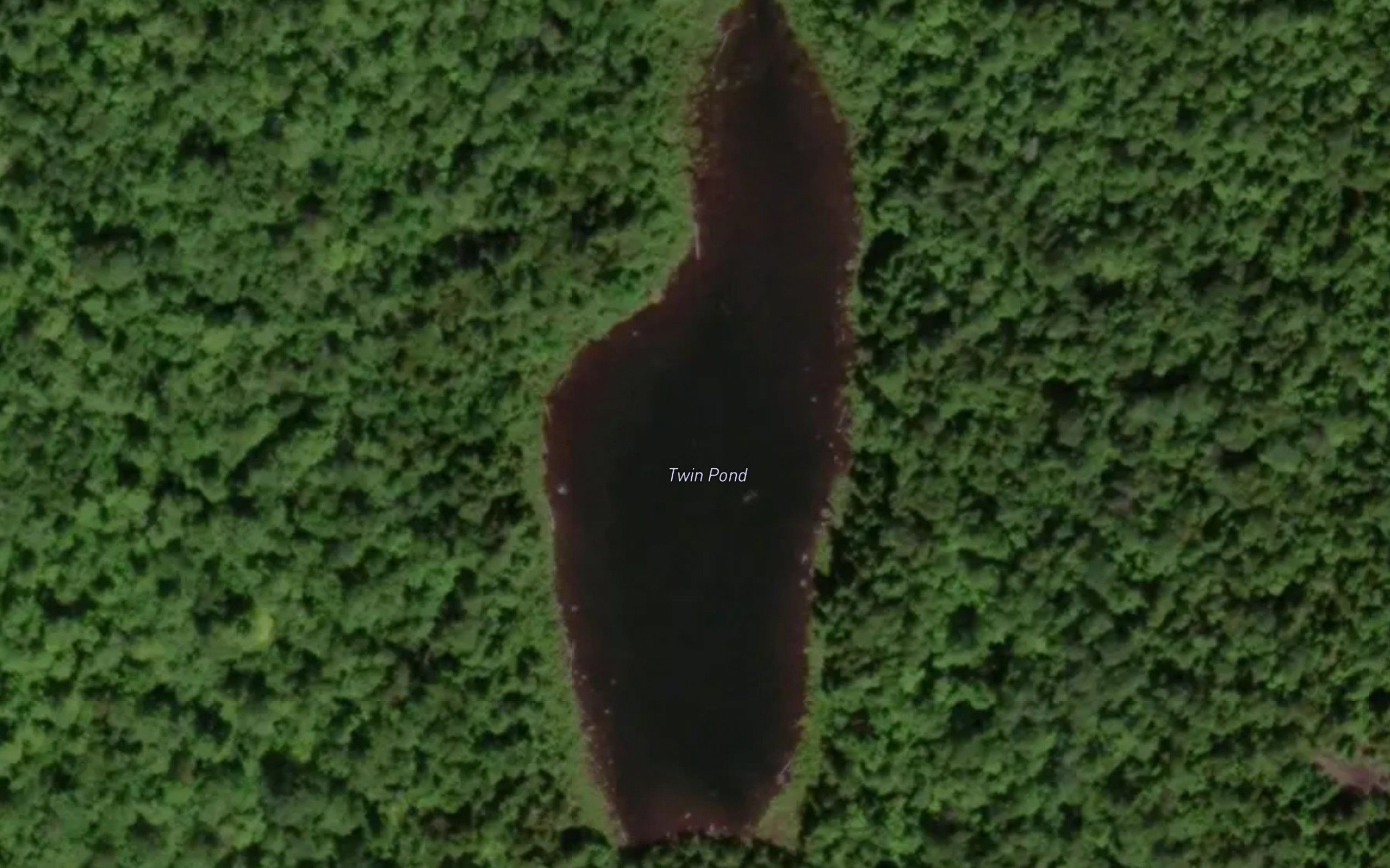 Twin Pond
