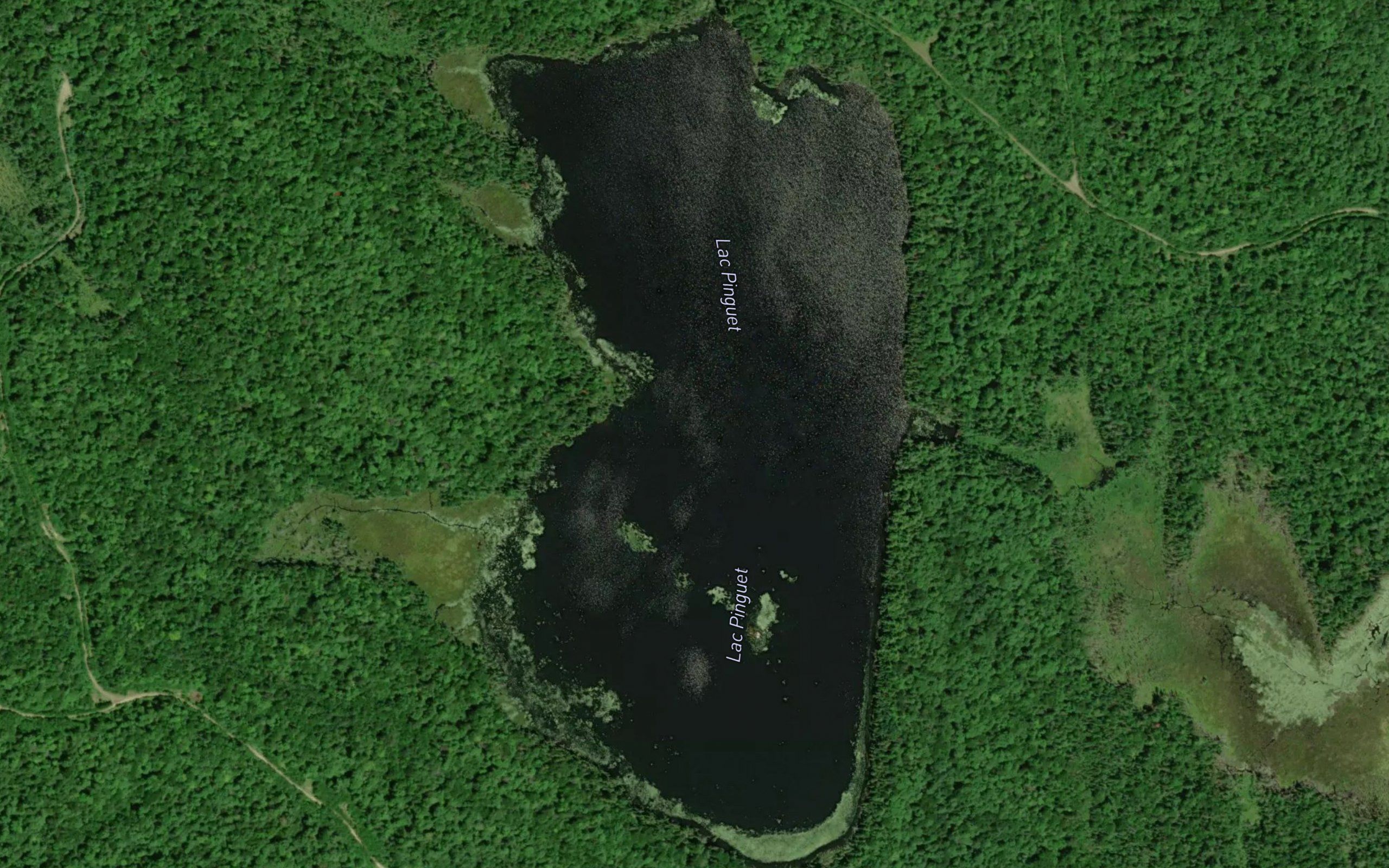 Lac Pinguet