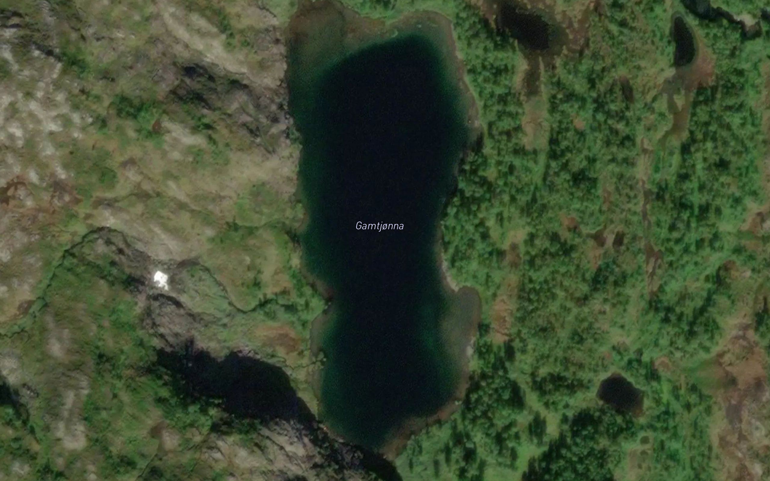 Gamtjorna
