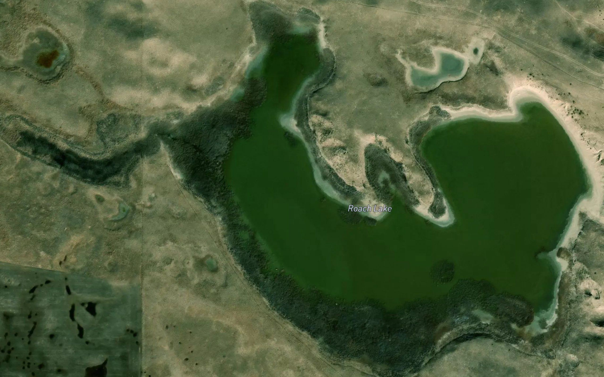 Roach Lake