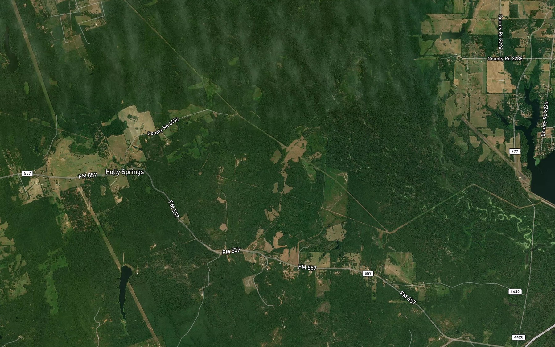 Satellite map of the Lee Springs