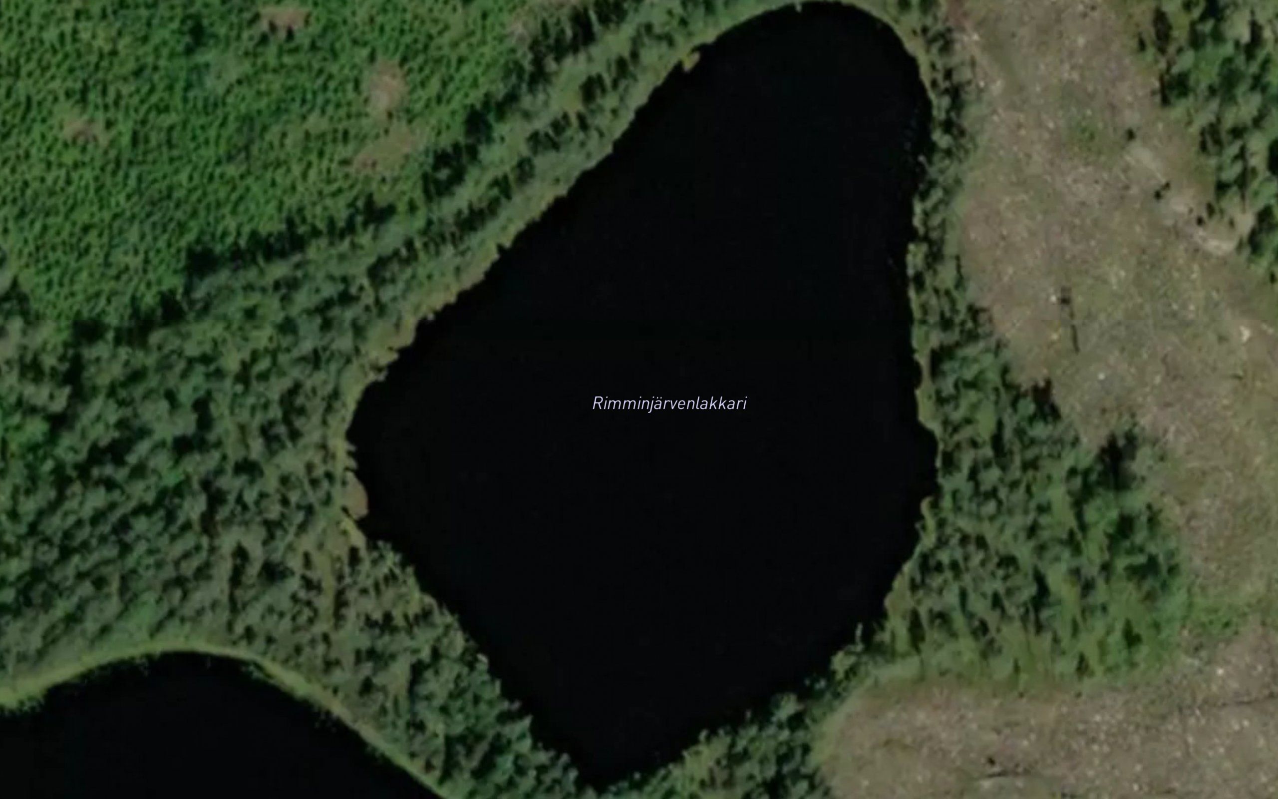 Rimminjarvenlakkari