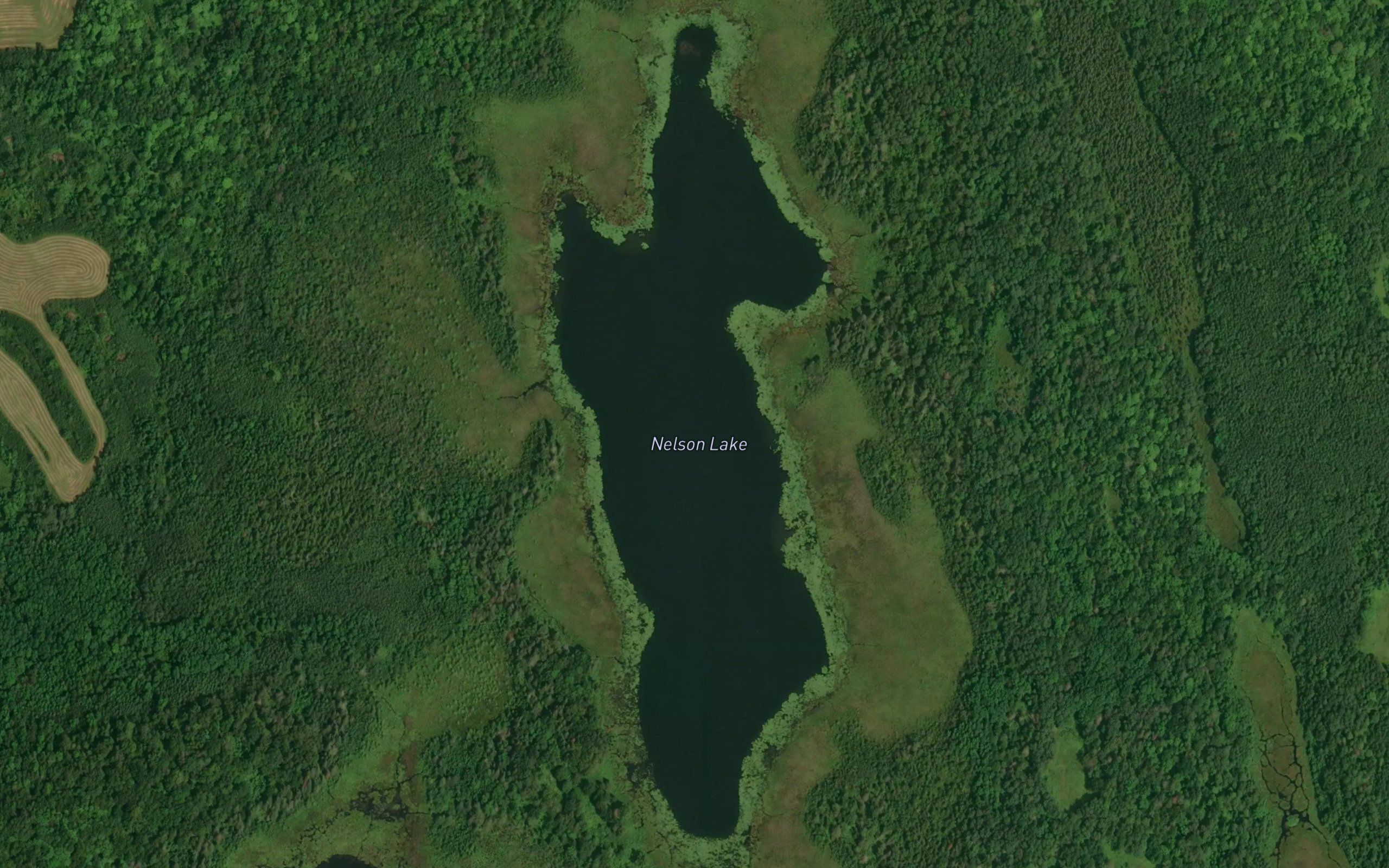 Nelson Lake