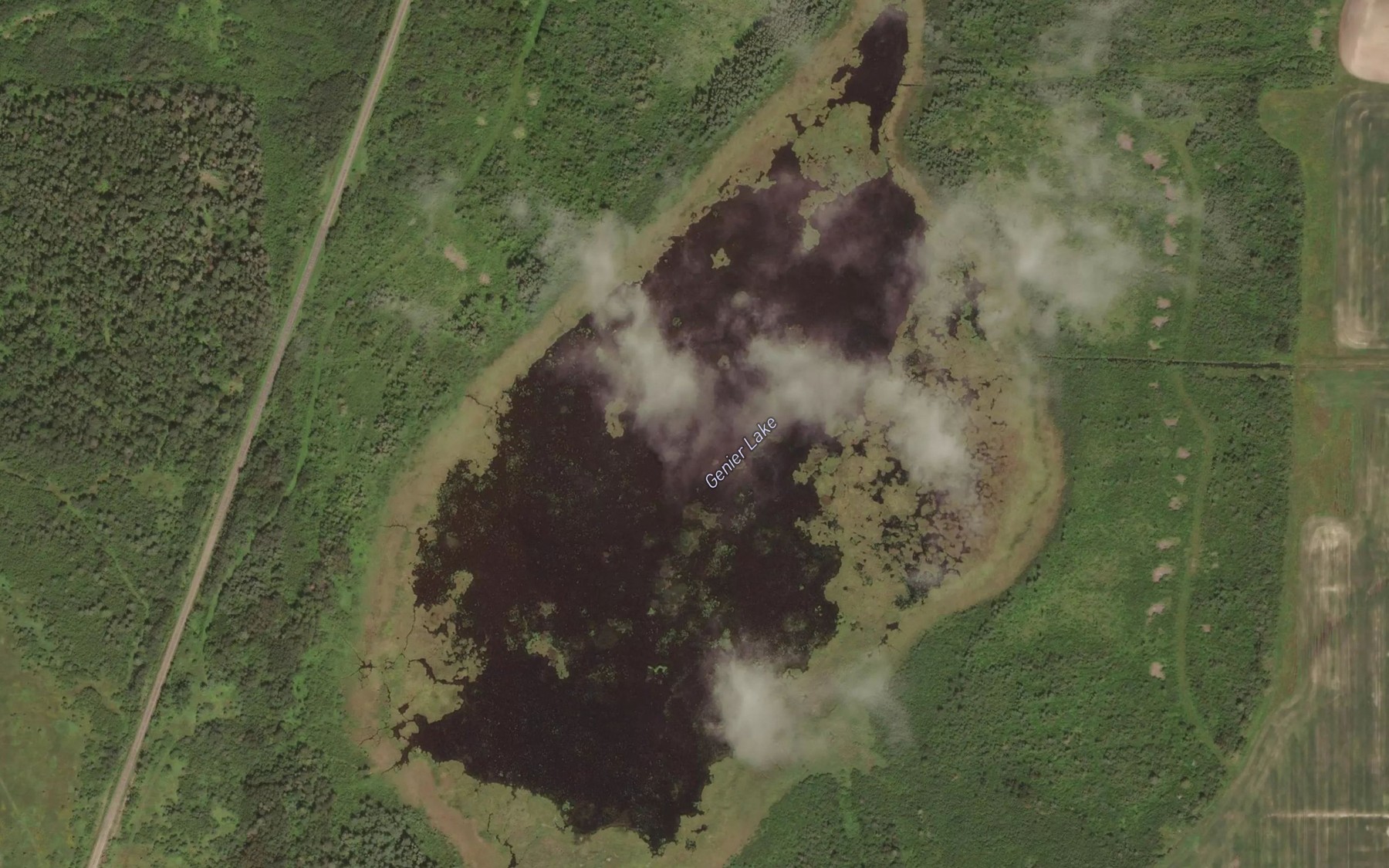 Satellite map of the Genier Lake