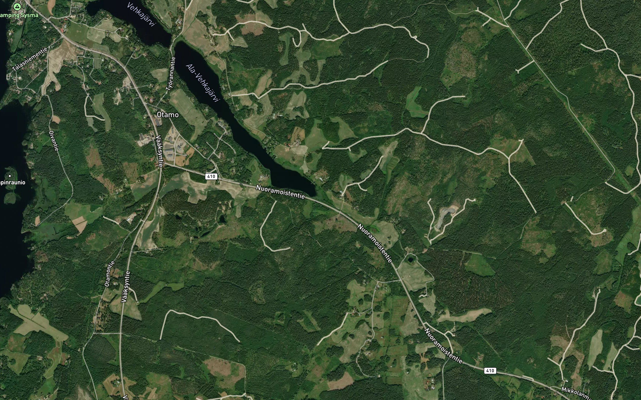 Villinkaistenoja