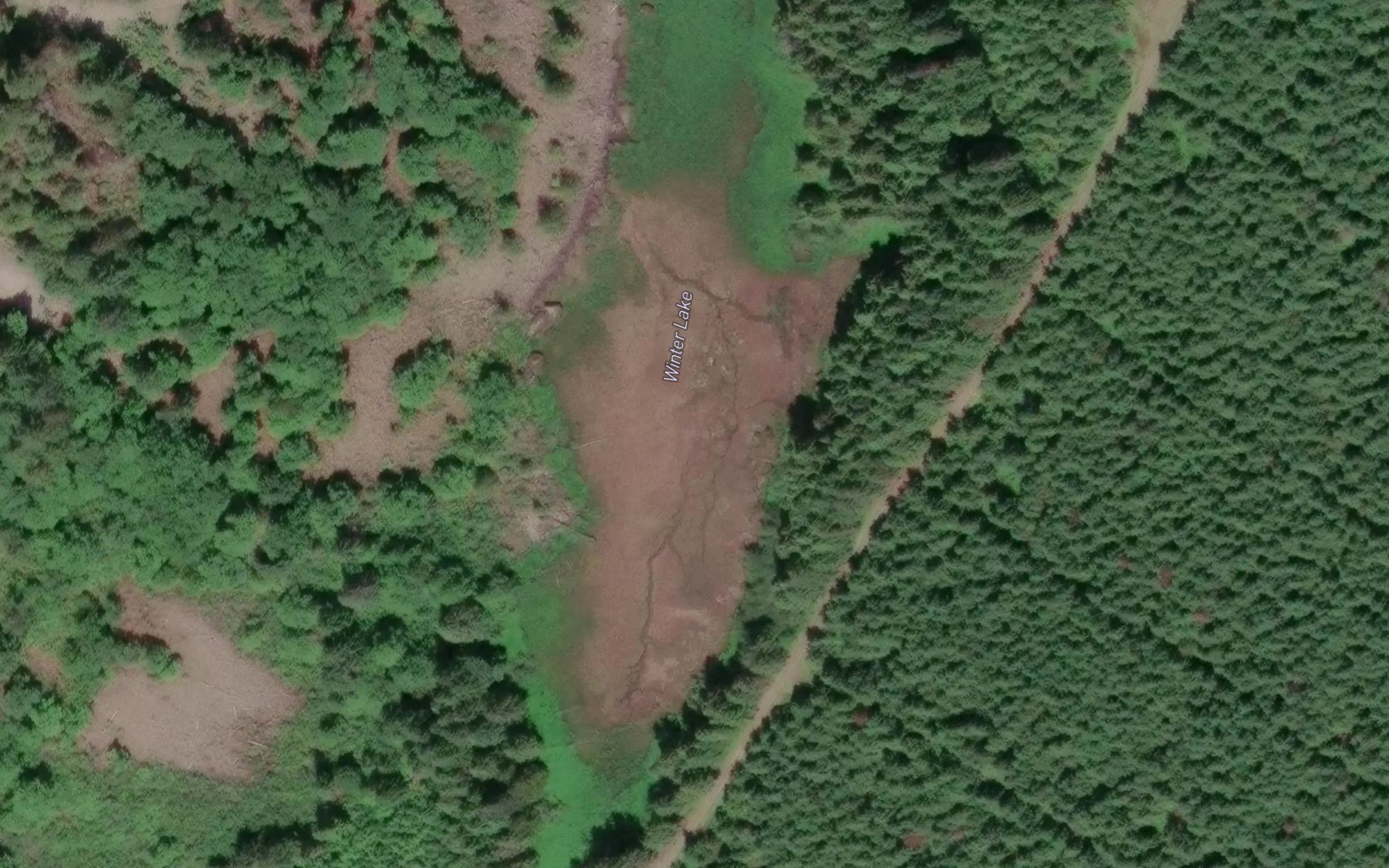 Satellite map of the Winter Lake