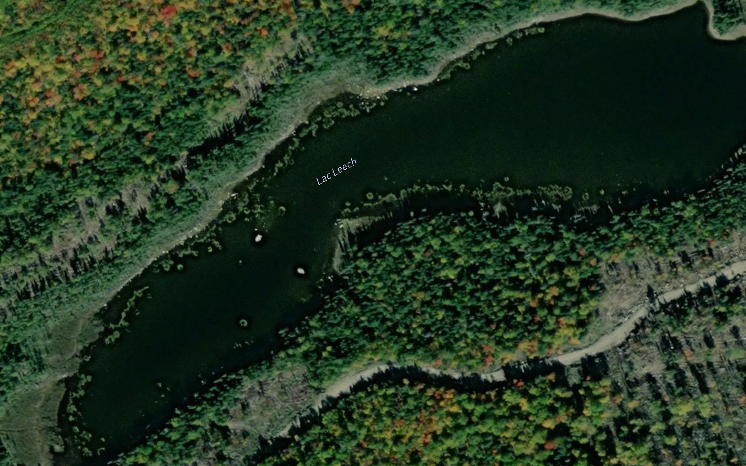 Lac Leech
