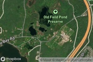 Great Maring Pond