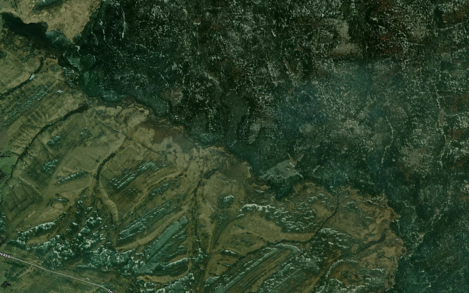 Satellite map of the Vtoraya