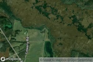 Trace Branch