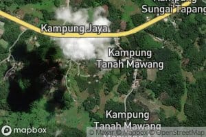 Sungai Menyang