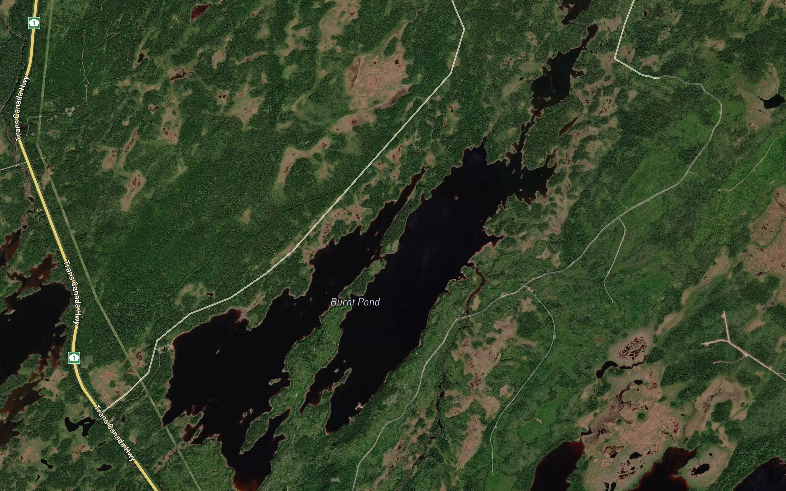 Burnt Pond
