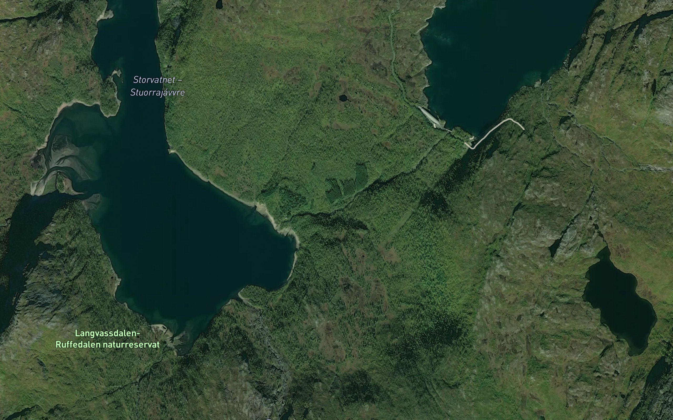 Langvasselva