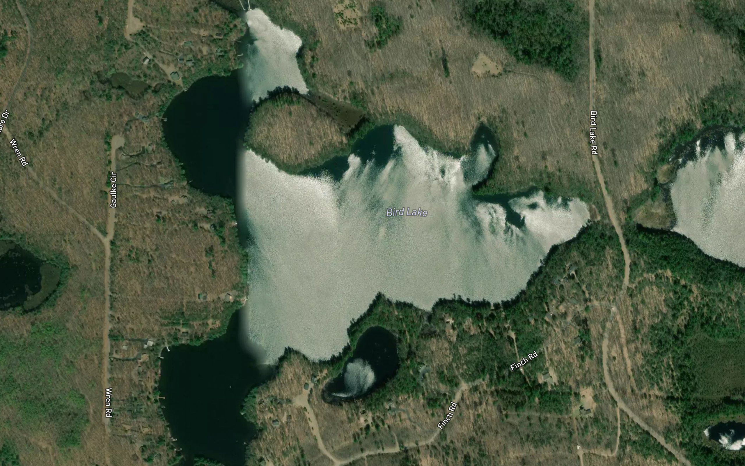 Bird Lake